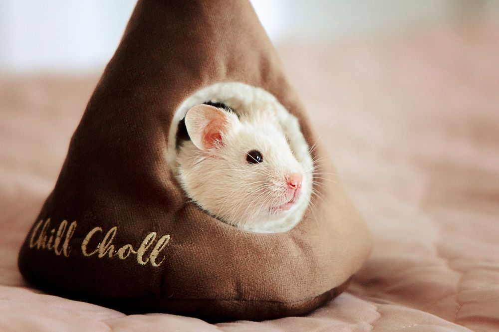 Photograph by Олеся Рыжкова