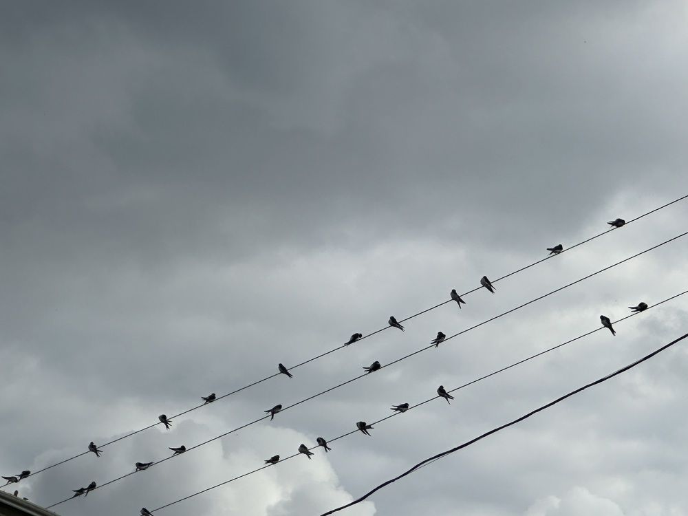 Photograph by Наумова Татьяна