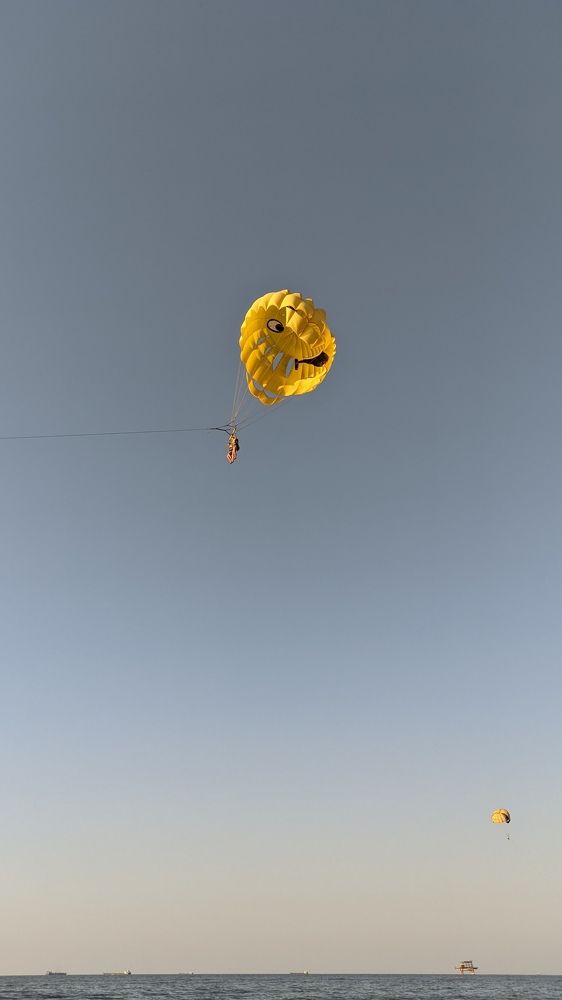 Фотография автора Васильева Ирина