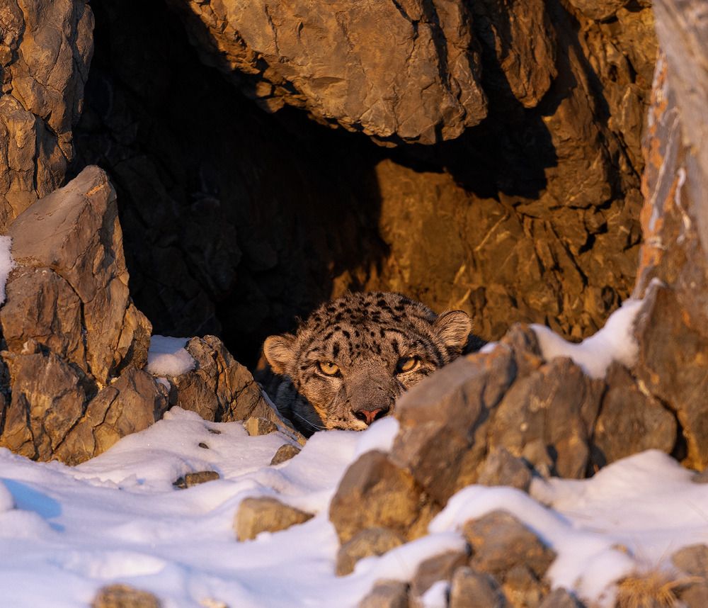 Photograph by Batzaya Choijiljav