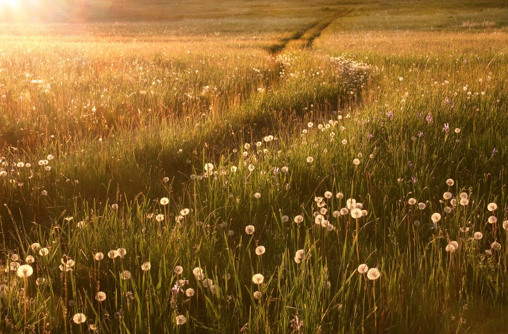 Photograph by Natalia