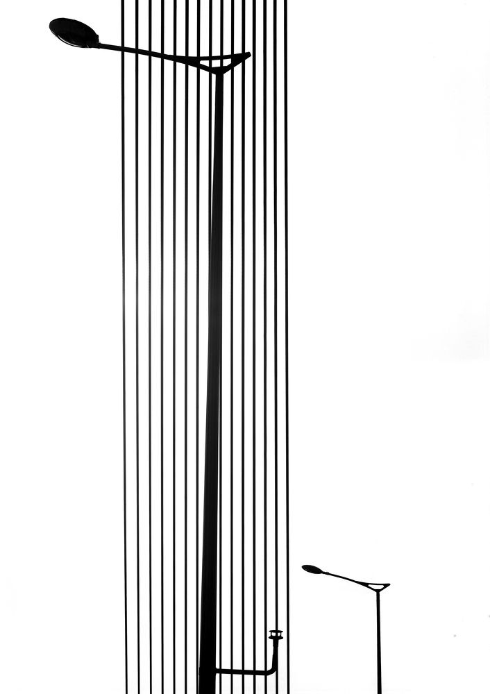 Фотография автора Minh Tan Le