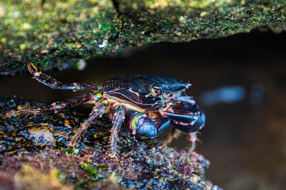 Photograph by Кристина