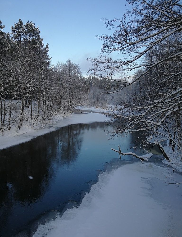 Photo #11663729