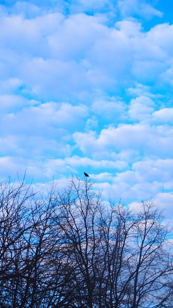 Photograph by Яна Истоцкая