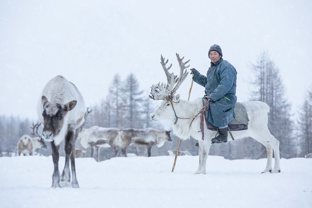 Photograph by Batzaya Choijiljav