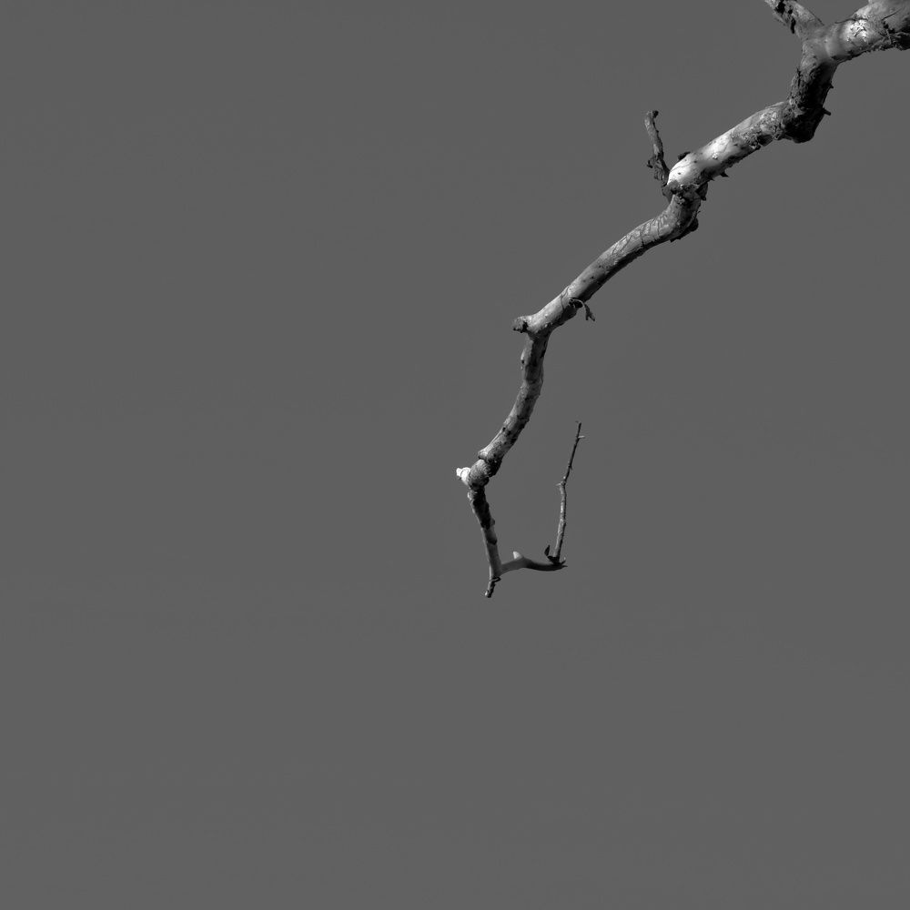 Фотография автора Mahdi Mohammadi