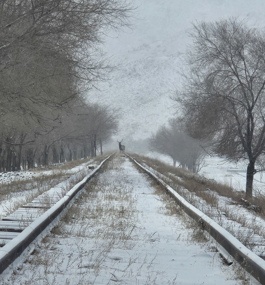 Photograph by Аззаяа