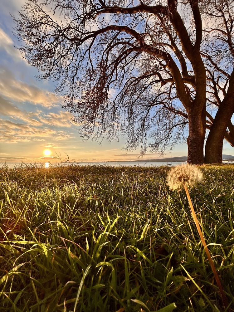 30 декабря в Геленджике
