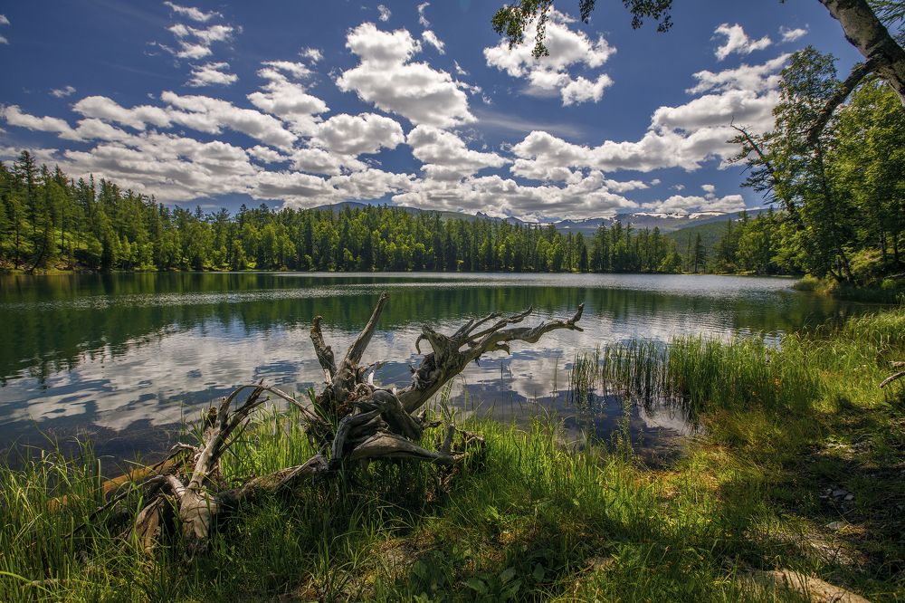 Фотография автора Дмитрий Юдин