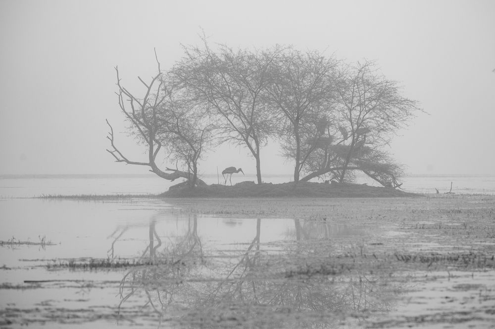 Reflections of Solitude