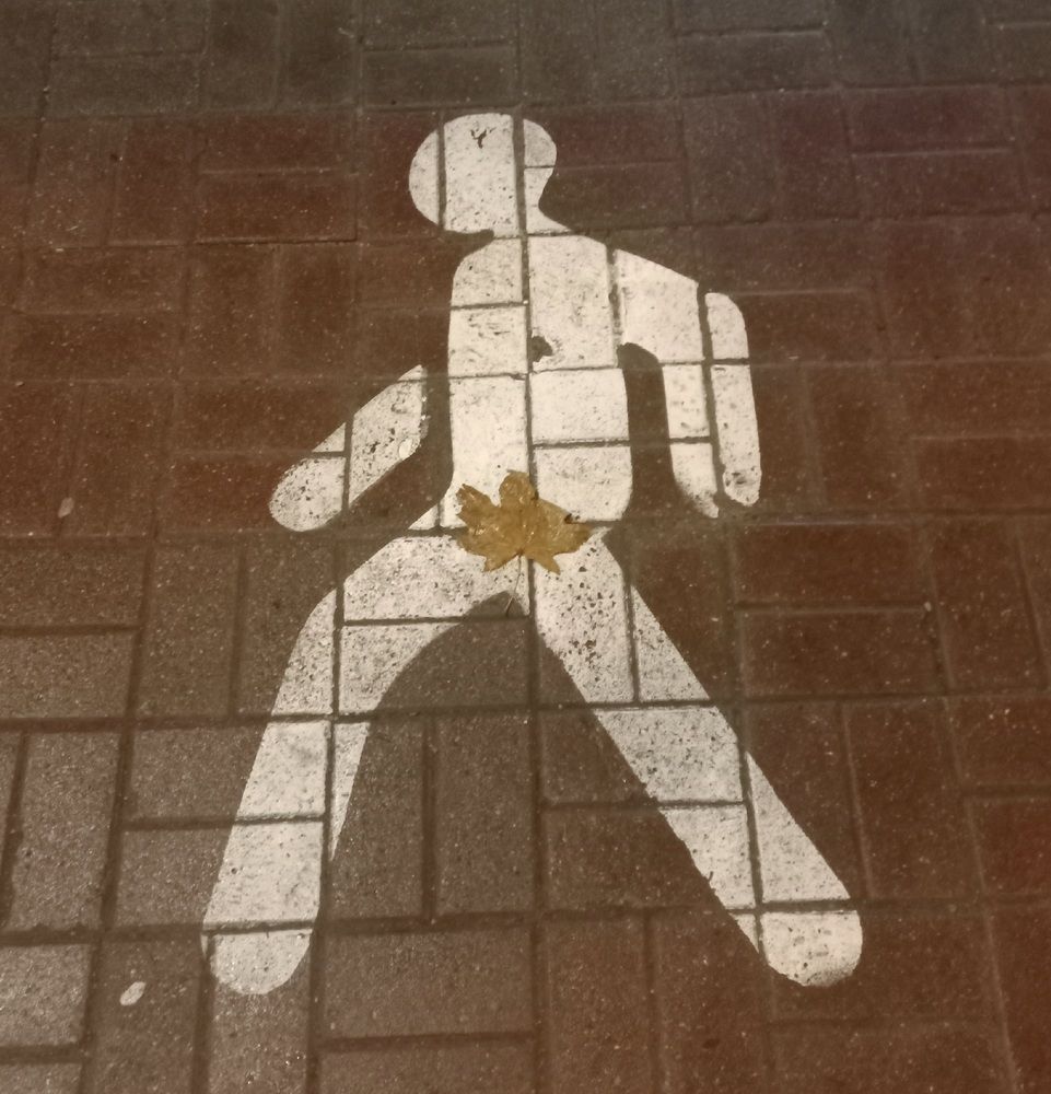 Photograph by Алексейчик Дмитрий