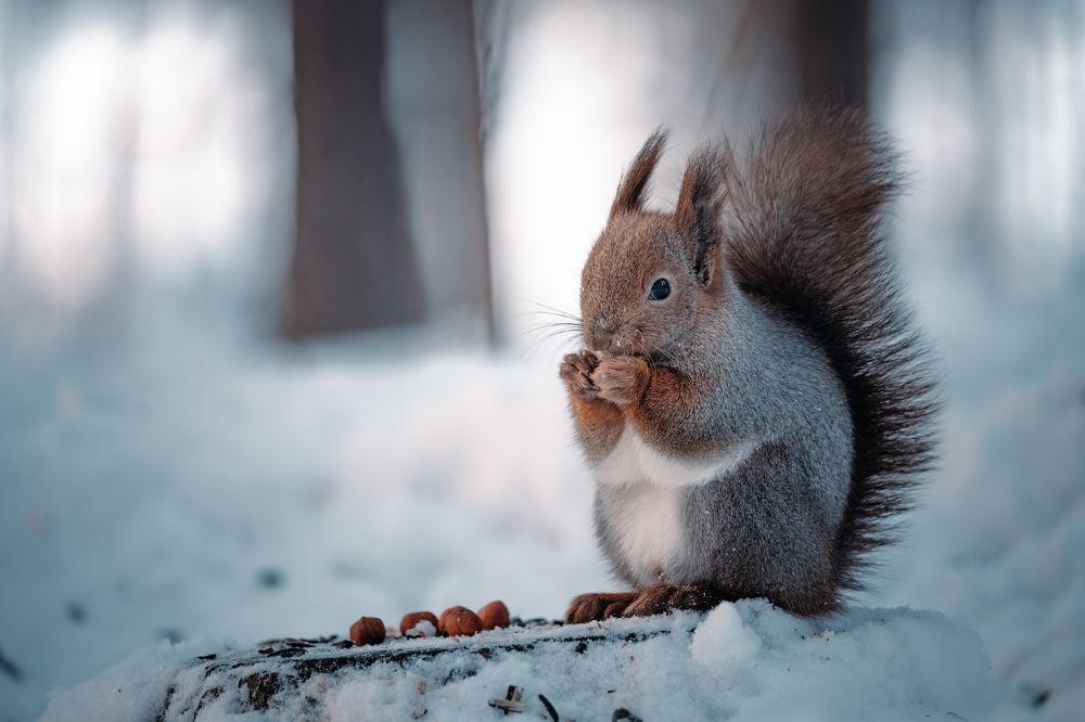 Photograph by Valentin Kolinko