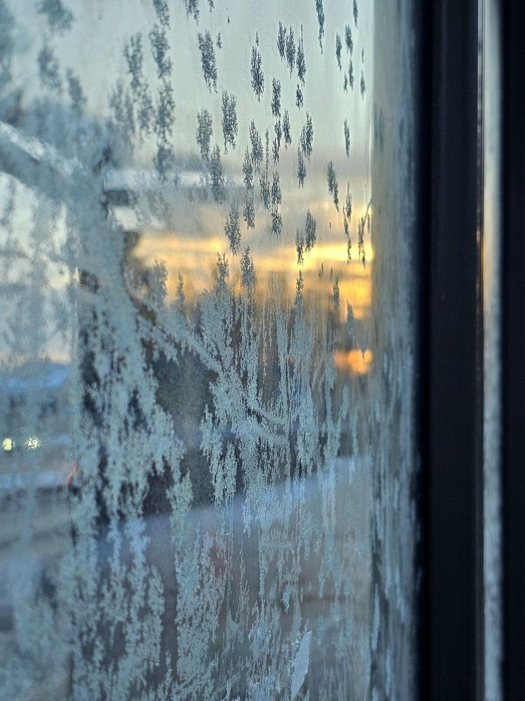 Photograph by Elena Neprosh