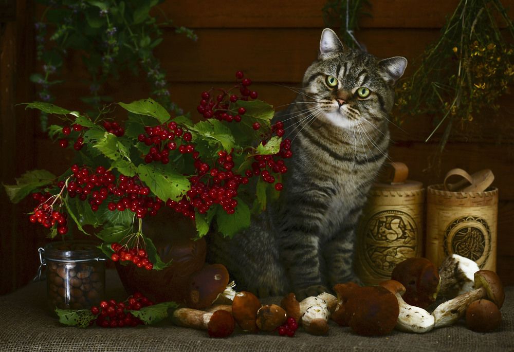 Photograph by Ирина Ефимова