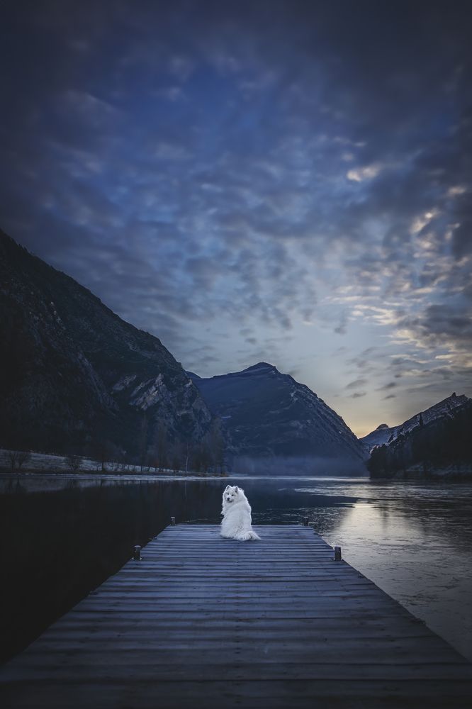 Фотография автора Rut Casanellas