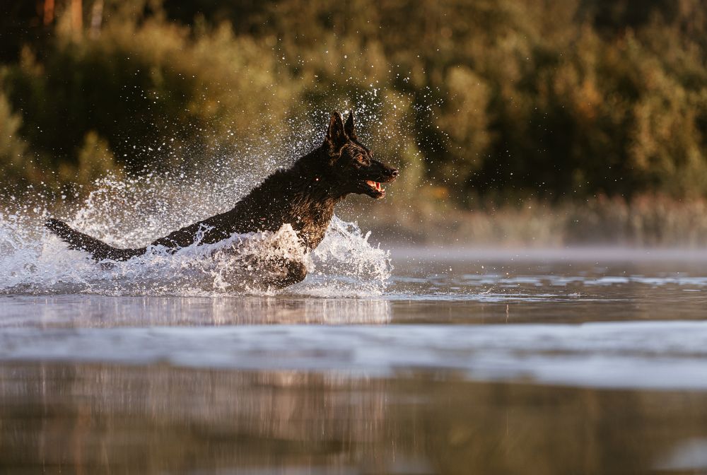 Photograph by Мария Калинина