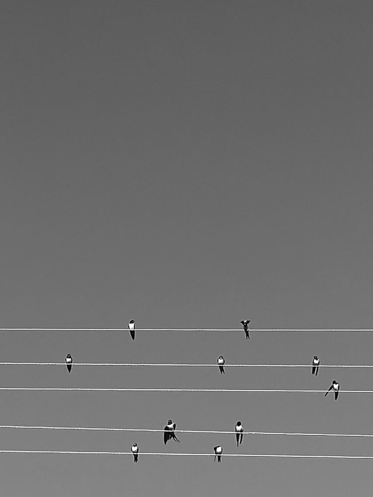 Фотография автора Татьяна Гончарова