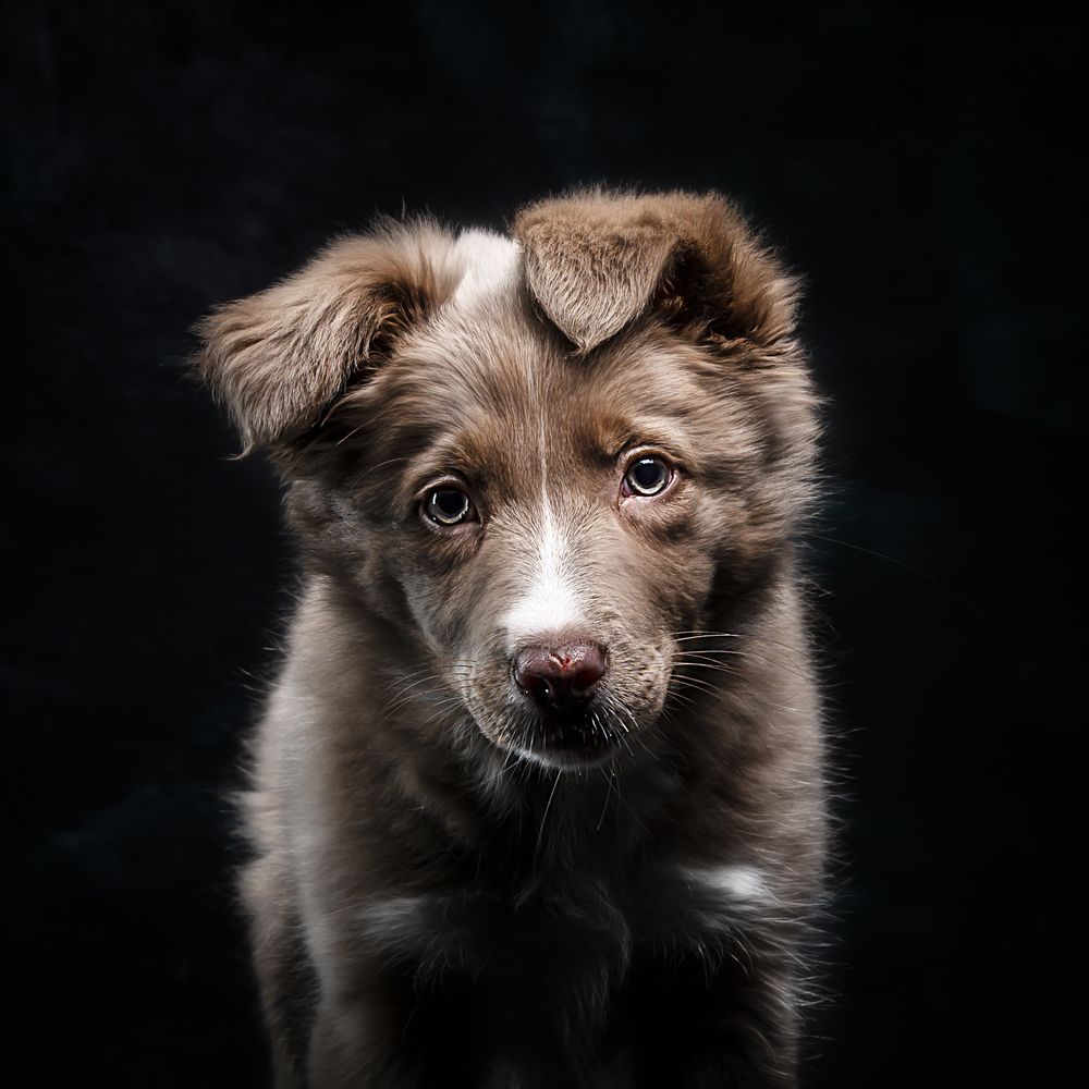 Фотография автора Linda Celis