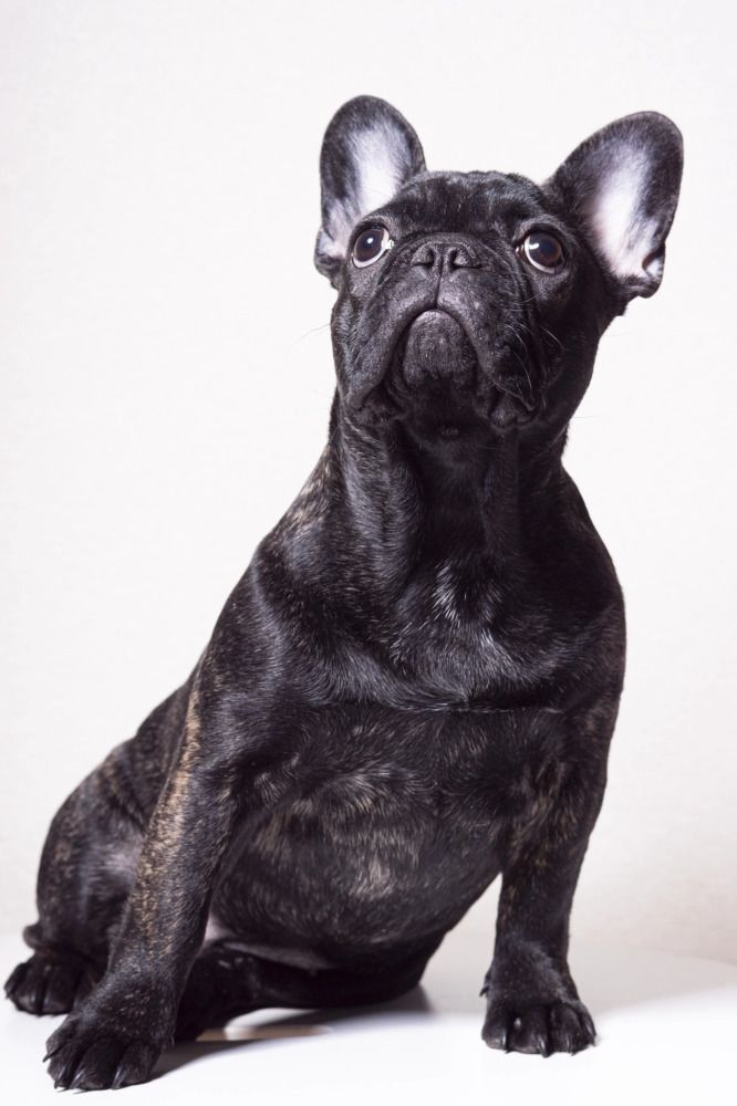 Photograph by Анна Васильева