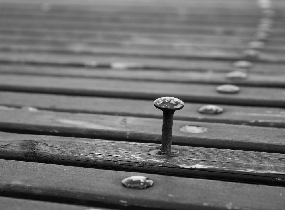 Сюрприз жизни