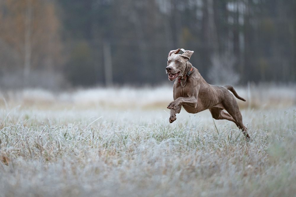 Photograph by Мария Калинина