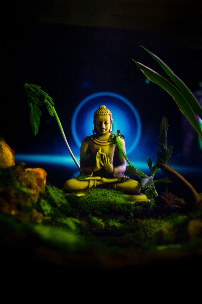 Photograph by Dewindu H. Fernando