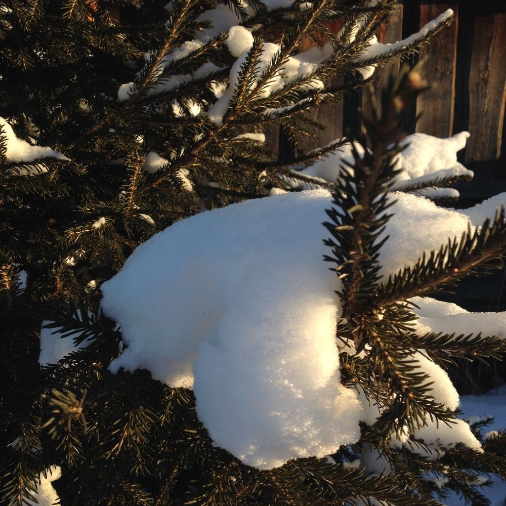 Photograph by Кирилл Талалаев