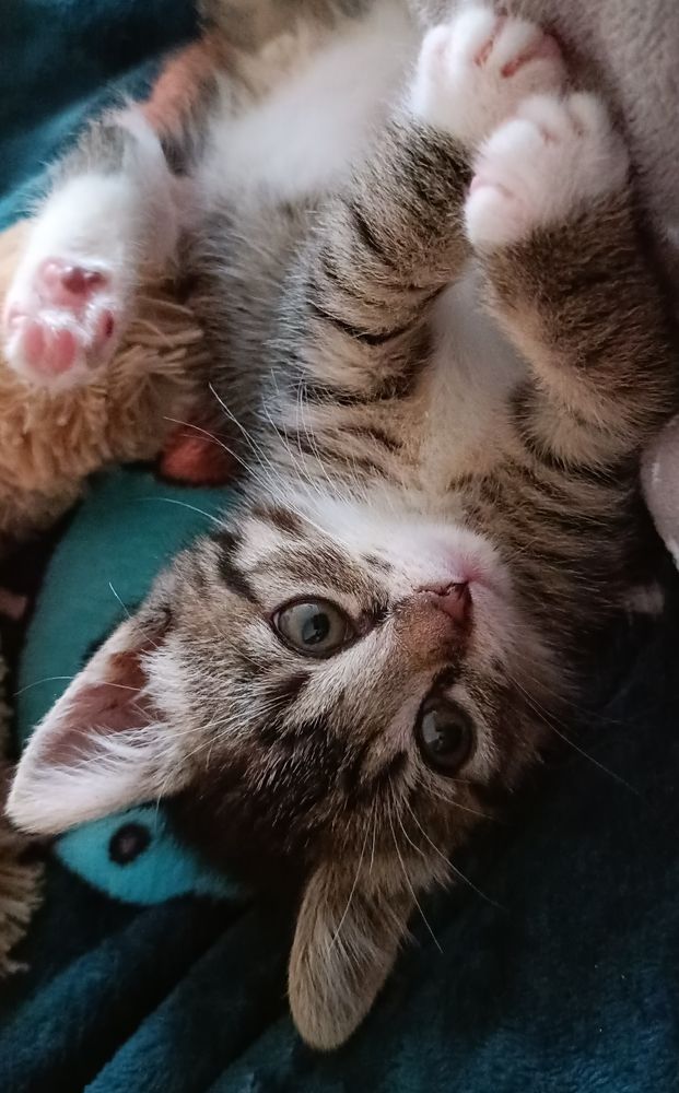 Photograph by Наталья Шумилова