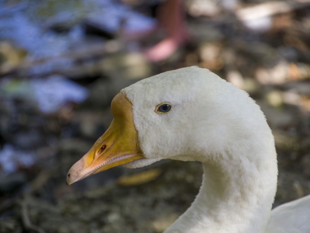 Photograph by Валерий Лунев