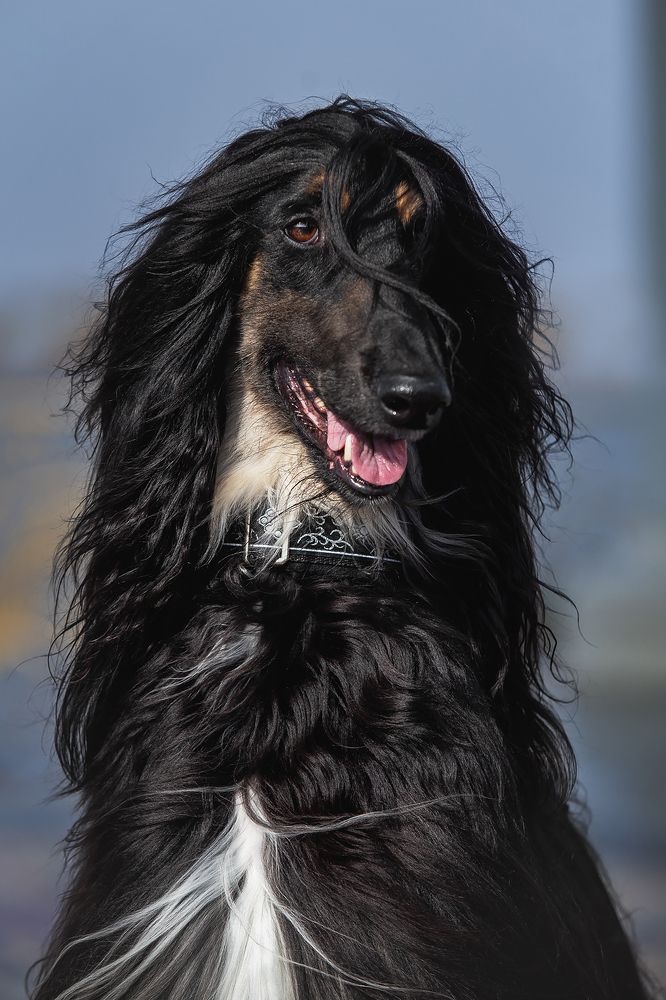 Photograph by СВЕТЛАНА ГРАЧЕВА