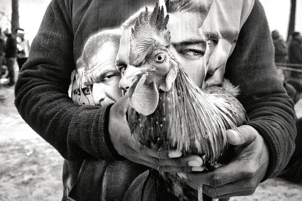 Photograph by Debratna Ghosh