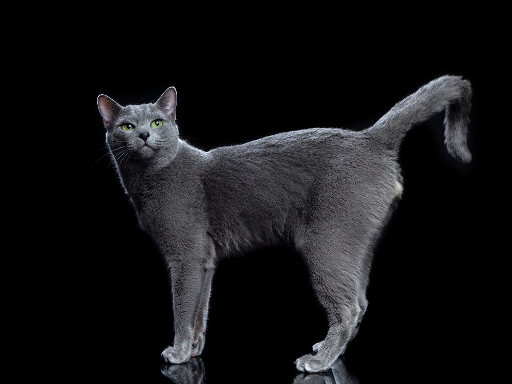 Photograph by Светлана Медведева