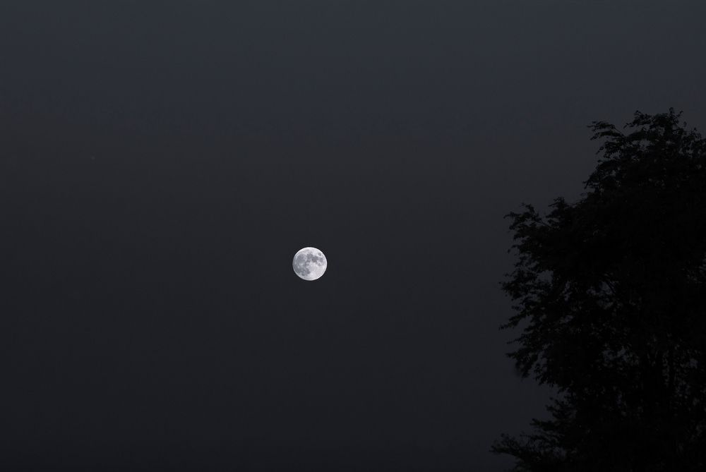 Photograph by Наталья Коржова