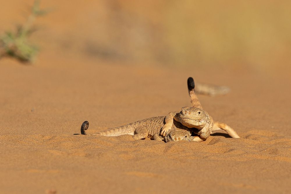 Photograph by Александр Ильин