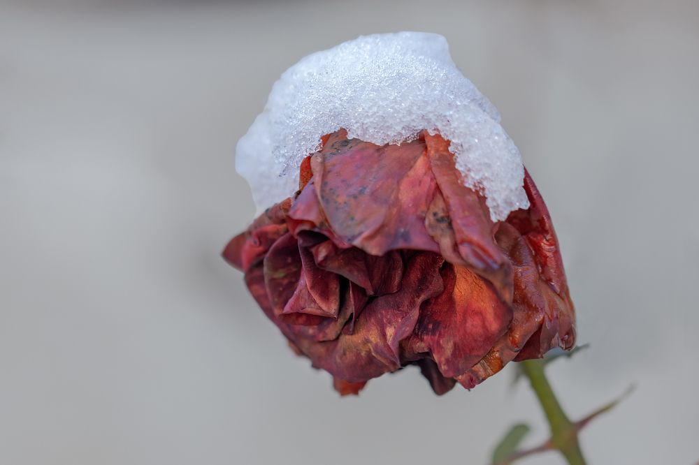 Photograph by Басыров Валерий