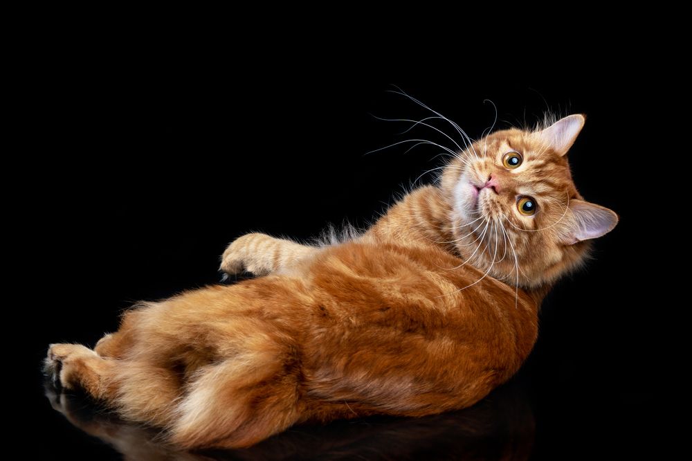 Photograph by Светлана Медведева