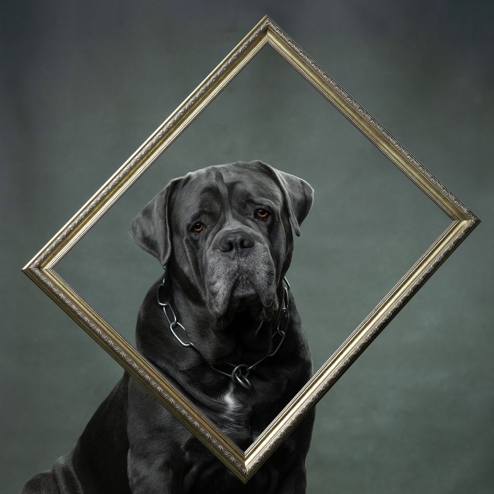 Фотография автора Kovaleva Irina