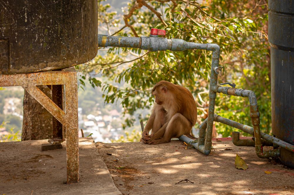 Photograph by Ксения Супрун