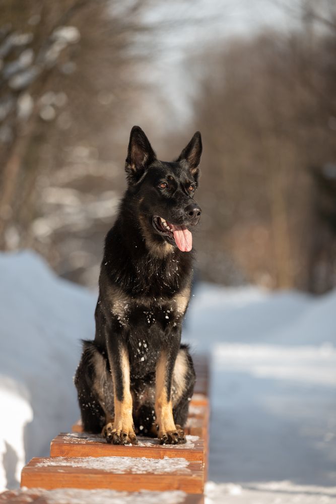 Фотография автора Мария Тигунова