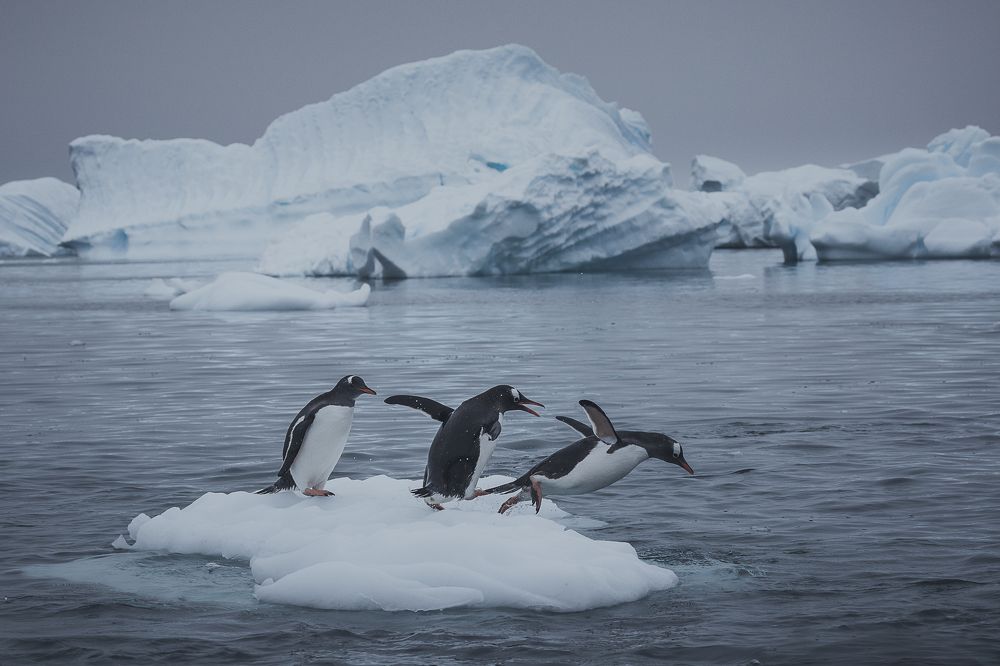 Photograph by Марина Маликова