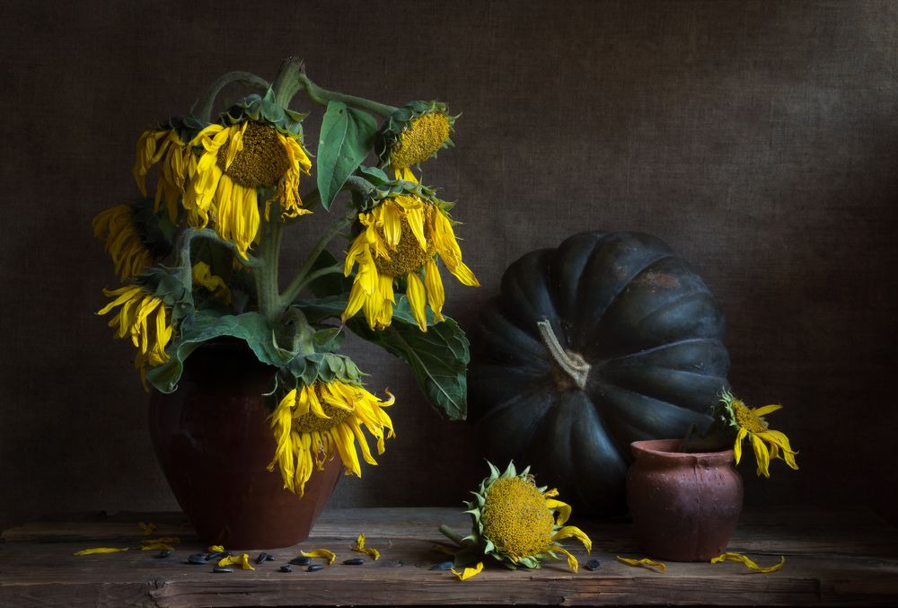 Предчувствие зимы