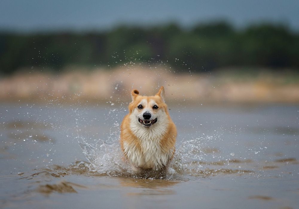 Photograph by Юлия Чайкина