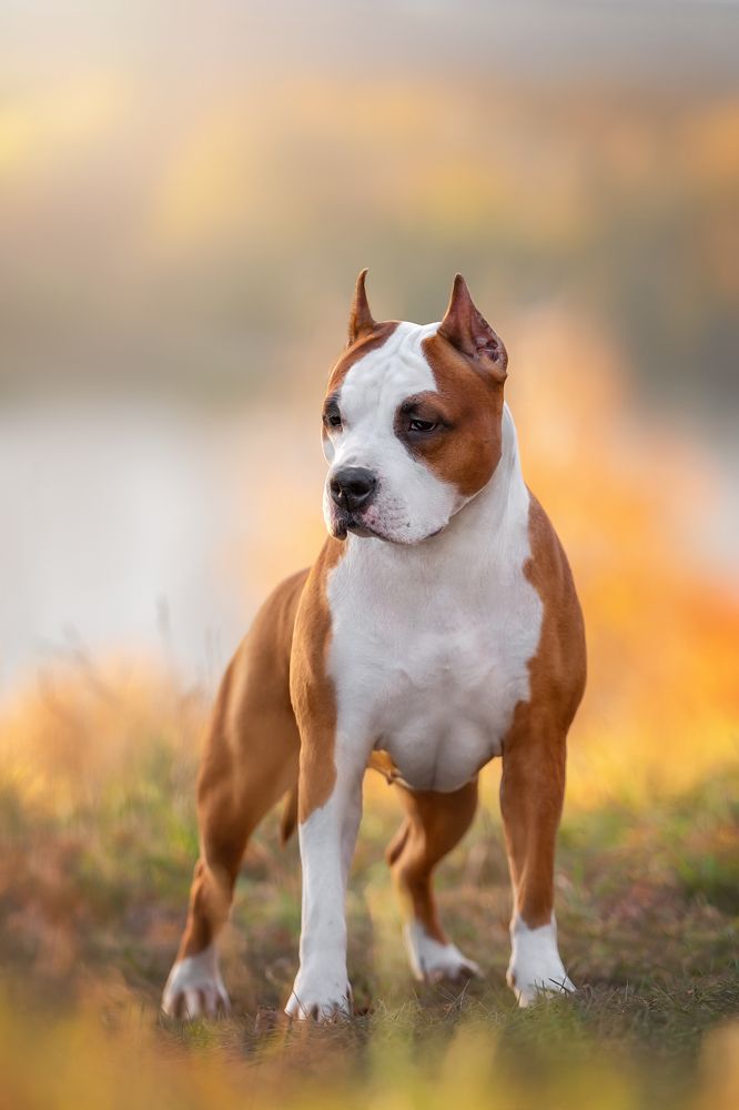 Фотография автора Юлия Чайкина