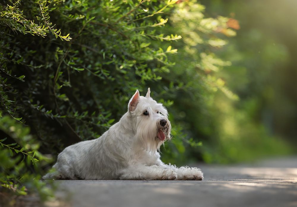 Photograph by Юлия Чайкина