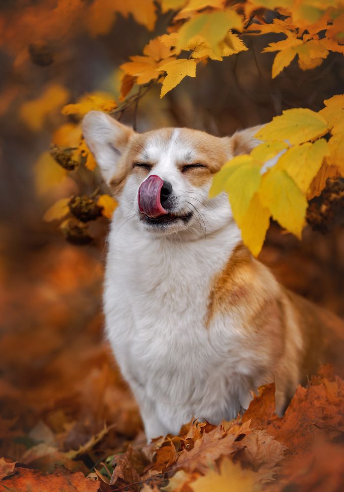 Photograph by Юлия Чайкина