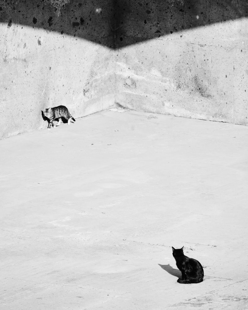 Фотография автора Владимир Эделев