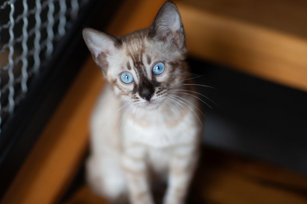 Photograph by Анастасия Бармина