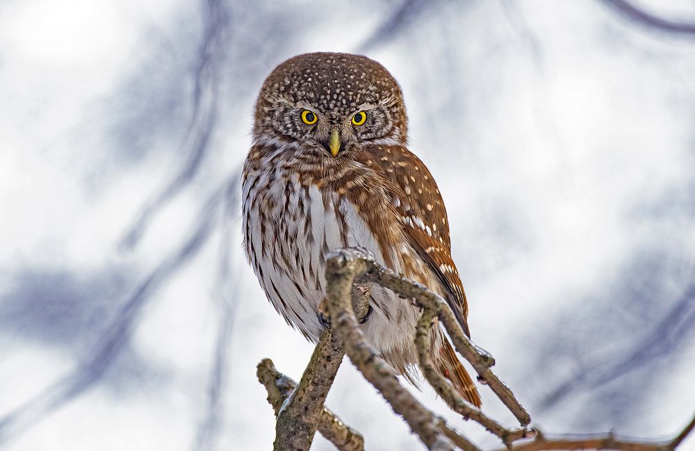 Photograph by Gurdina Lena