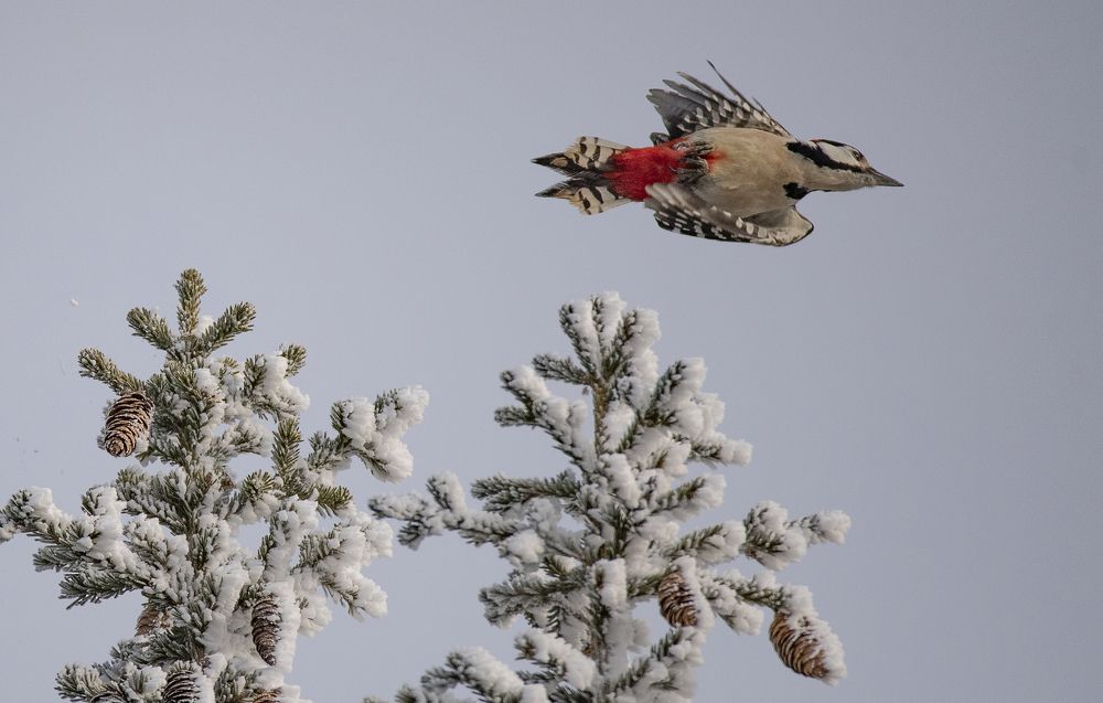 Photograph by Gurdina Lena